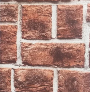 Photo 2026 02 04 13 04